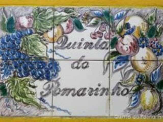 Quinta Do Pomarinho Villa Arouca Bagian luar foto